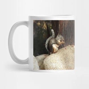 Douglas squirrel, Sierra Nevada Mountains, California Mug